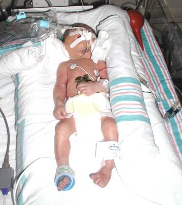 image, The Barrow Family