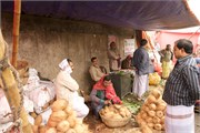 Dhaka-Market2015_109
