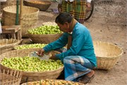 Dhaka-Market2015_31
