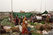 Dhaka-Market2015_78
