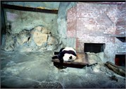 SummerPalace_19