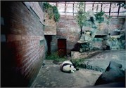SummerPalace_20