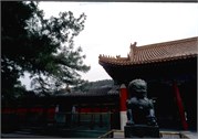 SummerPalace_9