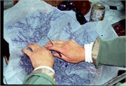 Cloisonne2_3