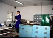 Cloisonne_1
