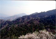 GreatWall1_6