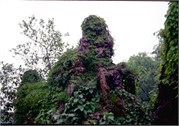 Yangtze1_1
