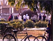 42_India2000