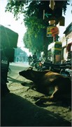 71_India2000