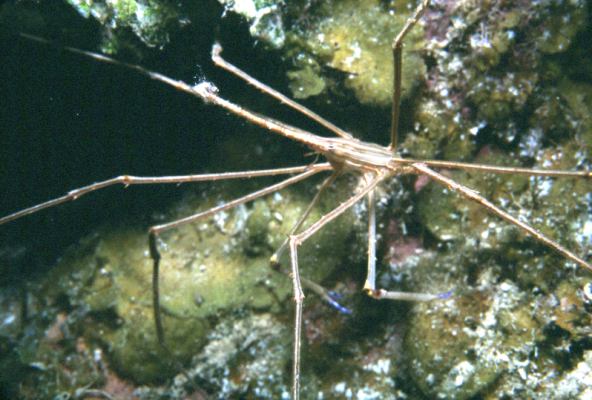 image, The Barrow Family