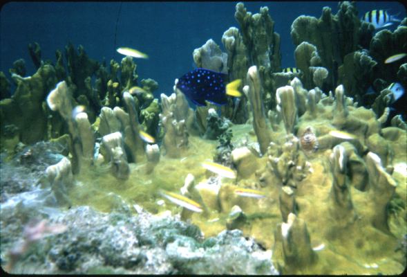 image, The Barrow Family