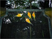 116_LindaPix