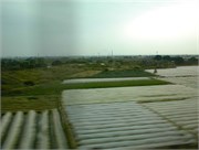 143_LindaPix