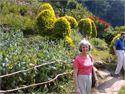 29_LindaPix