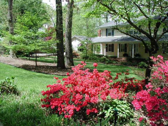 Our Yard in Spartanburg,SC 4/15/2001