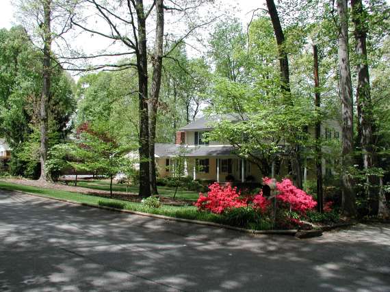 Our Yard in Spartanburg,SC 4/15/2001