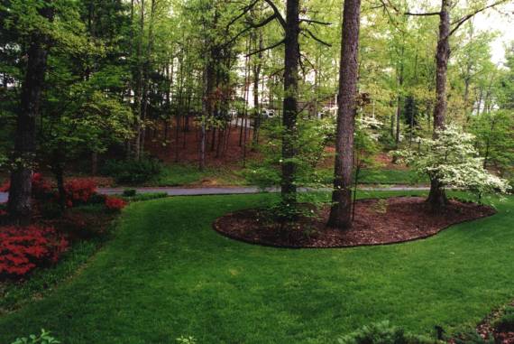 Our Yard in Spartanburg,SC 4/15/2001