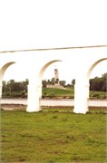 81