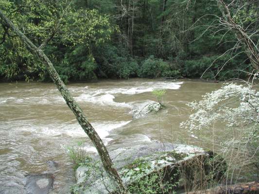 image, The Barrow Family