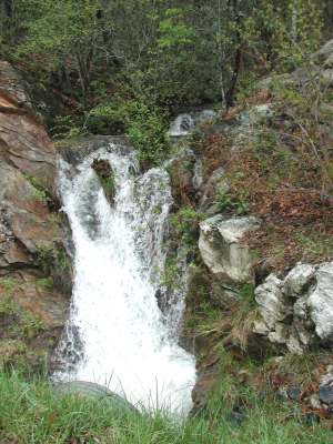 image, The Barrow Family