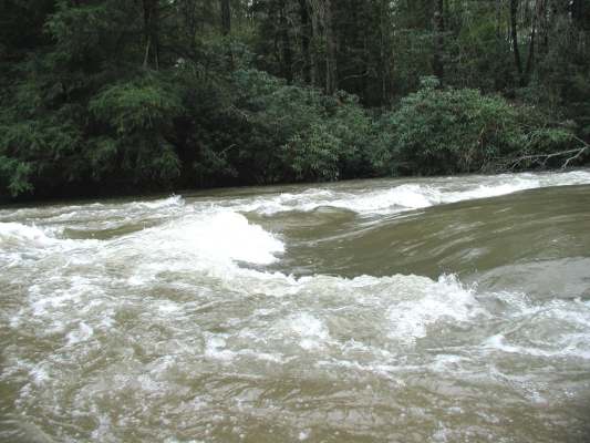 image, The Barrow Family