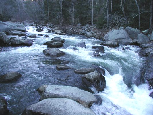 image, The Barrow Family