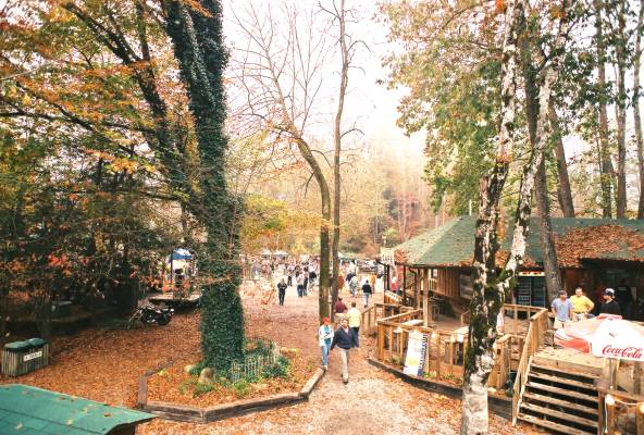 image, The Barrow Family