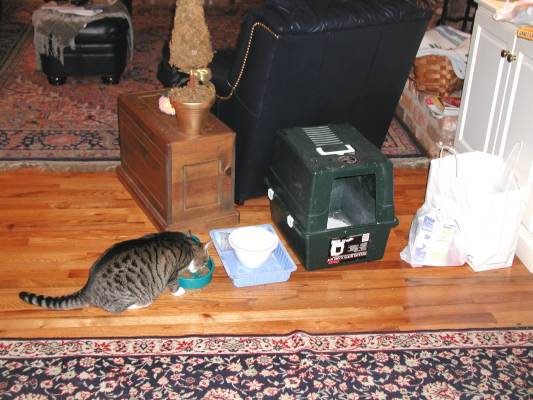 image, The Barrow Family