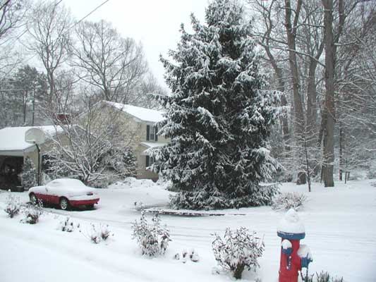 image, The Barrow Family