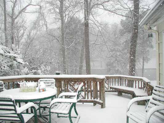 image, The Barrow Family