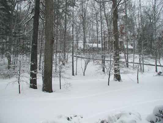 image, The Barrow Family