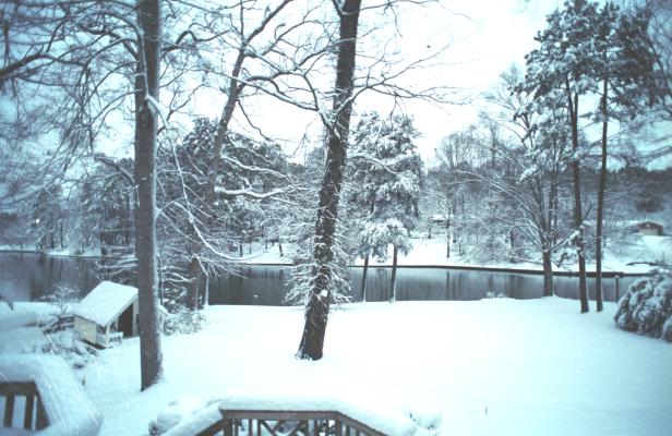 image, The Barrow Family