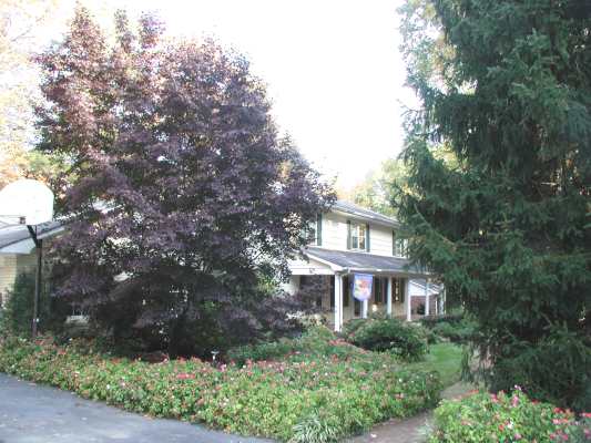 image, The Barrow Family