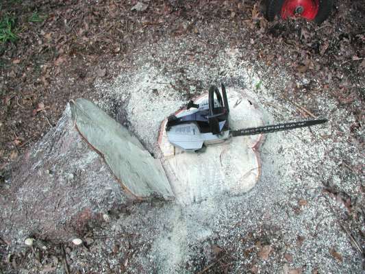 image, The Barrow Family