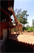 102_Africa2005