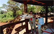 103_Africa2005