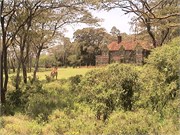1_Africa2005