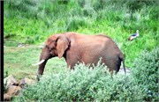 108_Africa2005