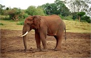 75_Africa2005