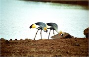 76_Africa2005
