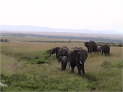 11_Africa2005