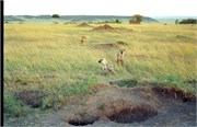 122_Africa2005