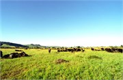 131_Africa2005