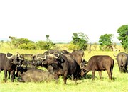 132_Africa2005
