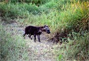 134_Africa2005