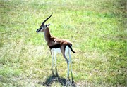 136_Africa2005