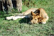 138_Africa2005