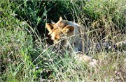 139_Africa2005