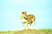 153_Africa2005
