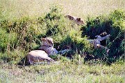 32_Africa2005